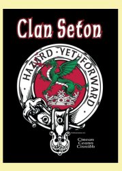 Seton Clan Badge Clan Crest Adult Ladies V-Neck Black Cotton T-Shirt