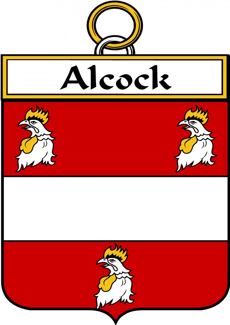 Image 3 of Alcock Irish Coat Of Arms Family Crest Paper Poster