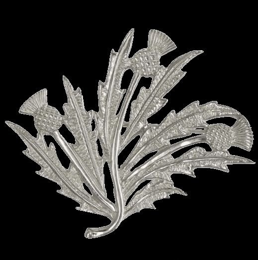 Image 0 of Scottish Thistle Floral Spray Medium Sterling Silver Brooch 