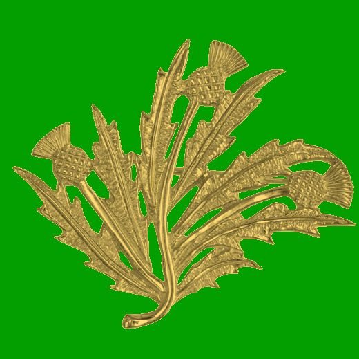 Image 0 of Scottish Thistle Floral Spray Medium 9K Yellow Gold Brooch 