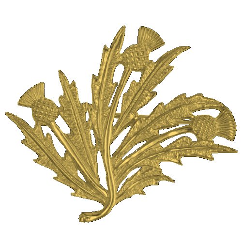 Image 1 of Scottish Thistle Floral Spray Medium 9K Yellow Gold Brooch 