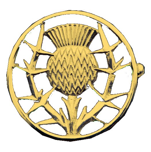 Image 1 of Scottish Thistle Open Round Medium 9K Yellow Gold Brooch  