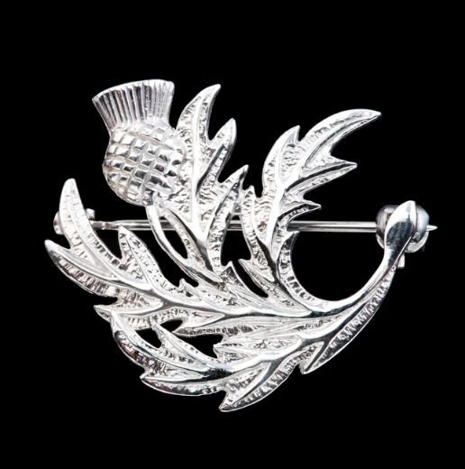 Image 0 of Scottish Thistle Single Flower Small Sterling Silver Brooch 