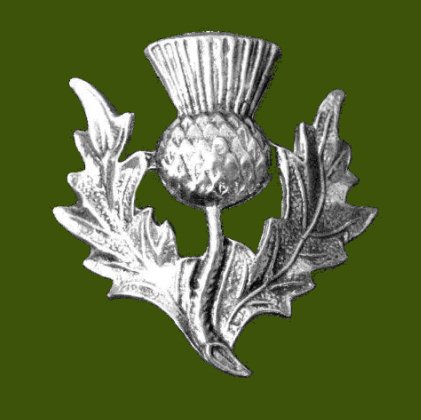 Image 0 of Thistle Single Flower Head Antiqued Stylish Pewter Brooch