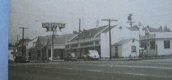 '.Sunland Calif, 1940s postcard.'