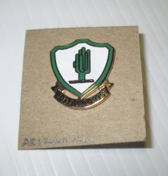 1 Arizona National Guard STARC Insignia Pin, DUI