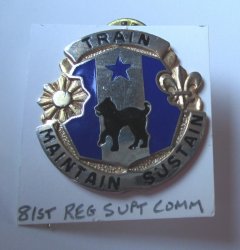 81st U.S. Army Regional Support Command Insignia Pin, G23