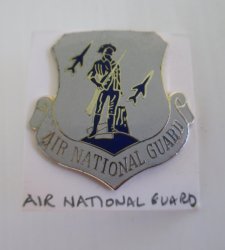 1 Air National Guard Minuteman and Rockets Insignia Pin