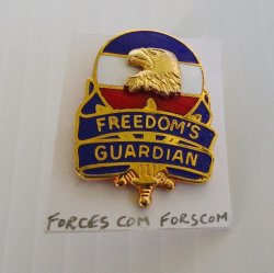 1 Forces Command DUI Insignia Pin, U.S. Army Forscom