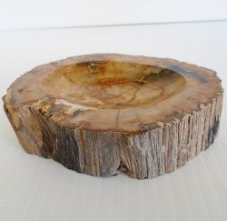 '.Petrified Wood Ashtray.'