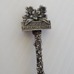 Alaska Forget Me Nots WAPW Souvenir Spoon