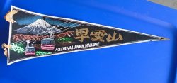 Hakone Japan National Park Banner Pennant Flag 1950s - 1970s