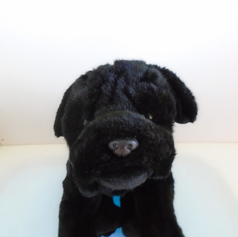 Purebred plush Pug about 12 inches tall made by Animal Alley and was offered exclusively by Toys-R-Us. Dates to around the year 2000.