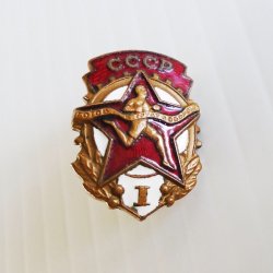 CCCP USSR Labor and Defense 1950s Pin Badge