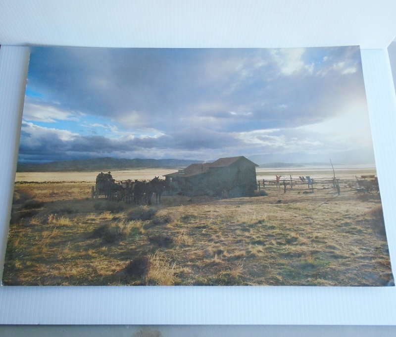 Wells Fargo Bank poster featuring horses and stagecoach at what I believe is a relay station. 14 by 20 inch. Ready to frame.