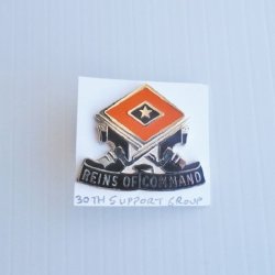 30th U.S. Army Support Group DUI Insignia Pin