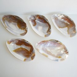 Clam Oyster Mother of Pearl Set/5 Side Dishes c1940s Japan