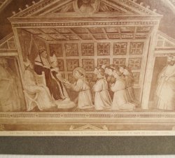 Antique Alinari Print Confirm of Rule, Giotto Florence 3934