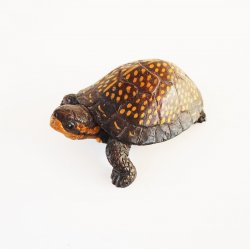 Land & Sea Collectibles, Tortoise Turtle Figurine dated 1993