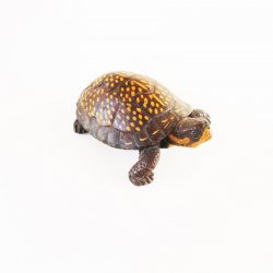 '.Tortoise Turtle Figurine 1993.'
