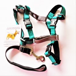 '.PetSafe 3 in 1 dog harness sm.'