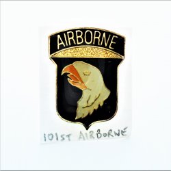 101st Airborne Screaming Eagles Vietnam DUI Insignia Pin