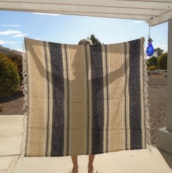 Faribo 100% Mesa Wool Blanket, 50x60 inch, Never used