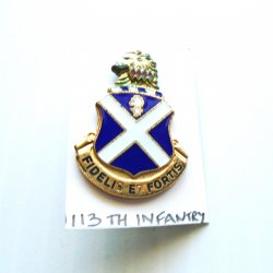 113th US Army Infantry DUI Insignia Pin