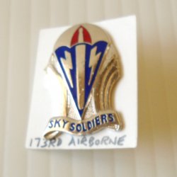 173rd Army Airborne Sky Soldiers DUI Insignia Pin