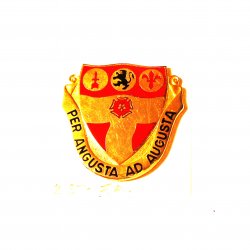 218th Field Artillery DUI Insignia Pin, Per Angusta Motto