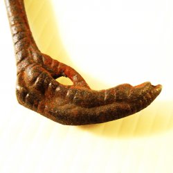 '.Vintage Claw and Feather Opene.'