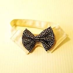 Dog, Cat, Small Animal Bow Tie, Black and White, Sz Small