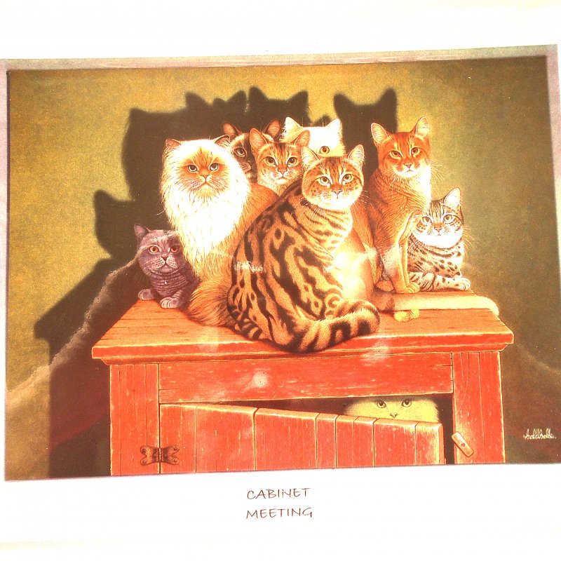 Bradford Exchange Wall Plate of cats ready to rule the world. Titled “Cabinet Meeting”. 9x7 inch ceramic.