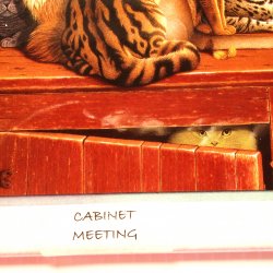'.Cabinet Meeting Cat Wall Plate.'