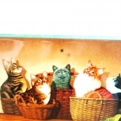 '.Basket Cases, Featuring Cats.'