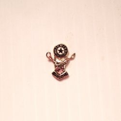 BPOE Elks Badge Emblem, Elk Head, Qty of 5