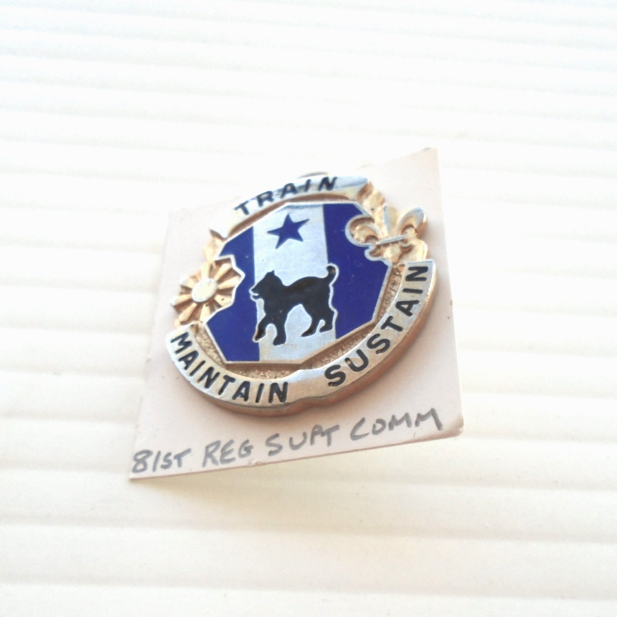DUI Insignia pin for the 81st Army Regional Support. Excellent condition. 
