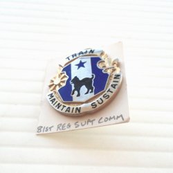 81st U.S. Army Regional Support Command Insignia Pin, G23