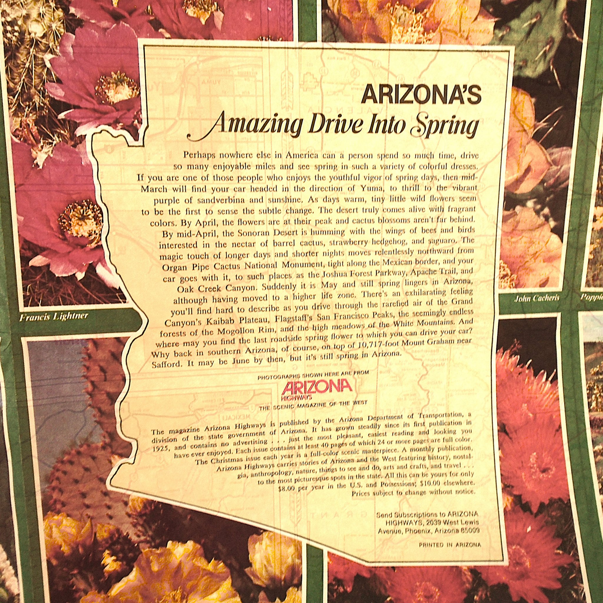 Arizona Road Map dated 1979. New Old Stock (NOS) in wonderful unused condition.