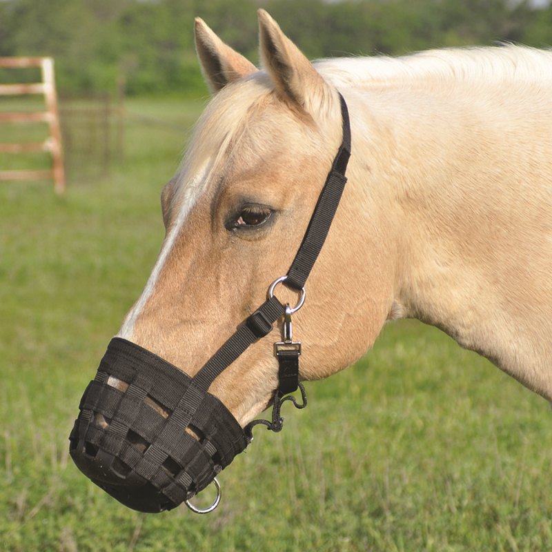 Cashel Grazing Muzzle with Halter,Grazing Muzzles,Cashel Grazing Muzzles.