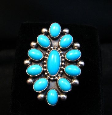 Ernest roy begay jewelry Clearance