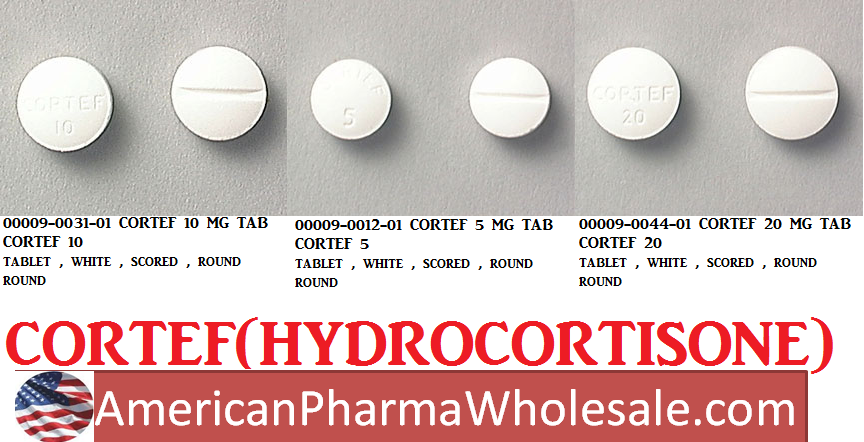 Rx Item-Cortef 10Mg Tab 100 By Pfizer Pharma