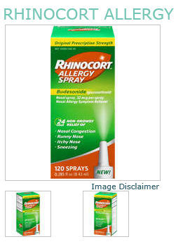 Rhinocort OTC Allergy 120 Spray BY J&J Consumer