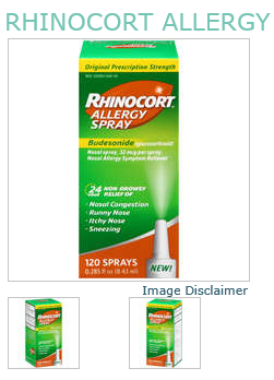 Case of 24-Rhinocort OTC Allergy 120 Spray by J&J Consumer