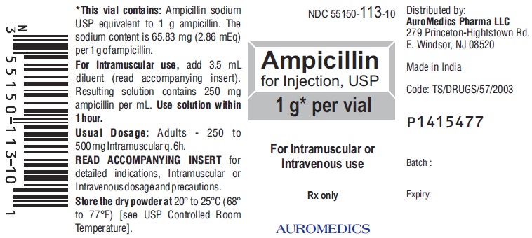 '.Rx Item-Ampicillin 1 G Vial 10.'