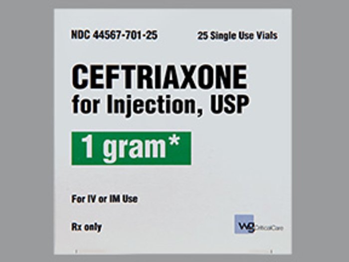 Rx ItemCeftriaxone 1 gm Vial 25 By Wg Critical Care Gen Rocephin