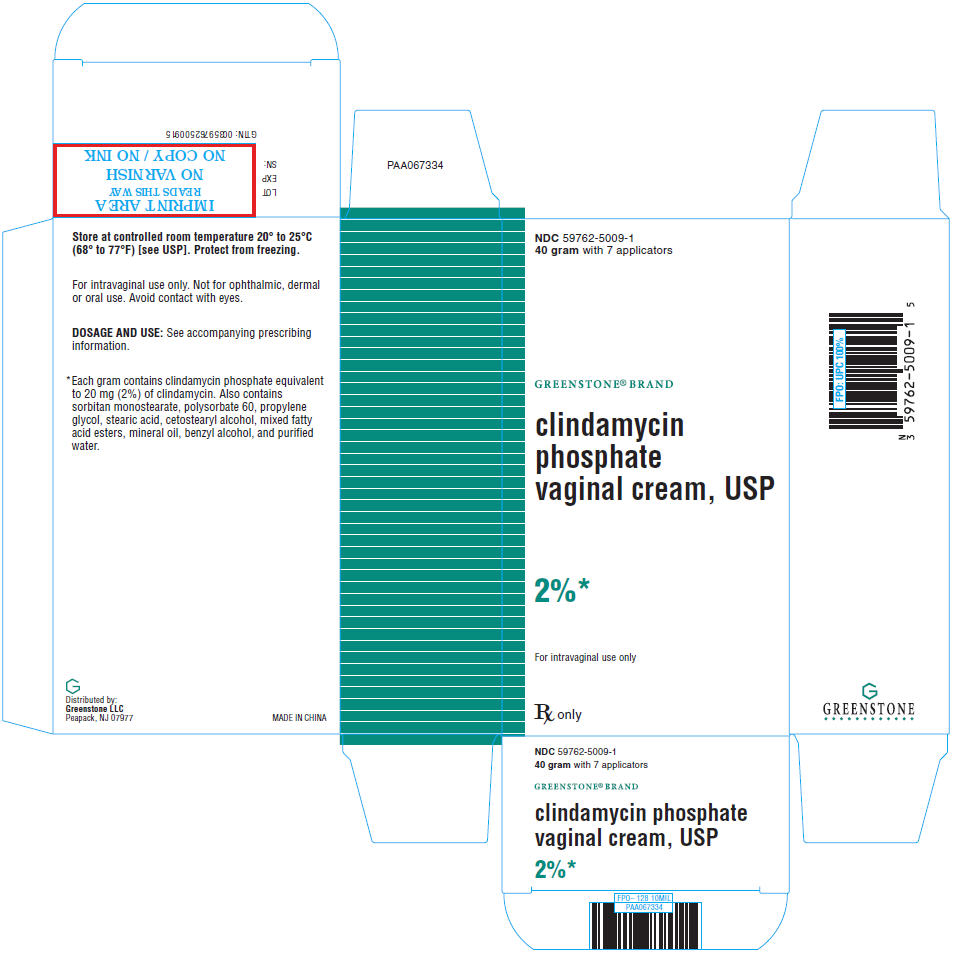 Rx Item-Clindamycin Phosphate Vaginal 2% Cream 40Gm By Greenstone Gen Cleocin