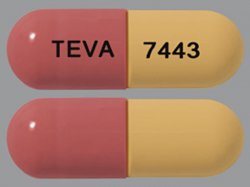 Rx Item-Fluvastatin 40Mg Cap 100 By Teva Pharma Gen Lescol