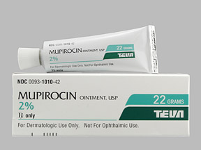 Rx Item-Mupirocin 2% 22 GM Ointment by Teva Pharma USA 