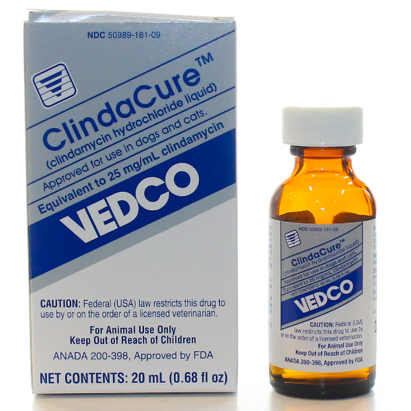Clindacure 25Mg/ml 20ml 20 ml Sl By Vedco Pet Rx(Vet)